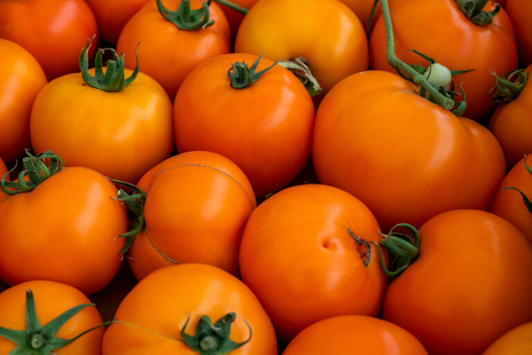 yellow tomatoes