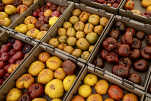Heirloom Tomatoes